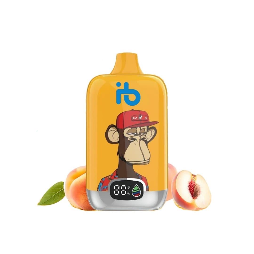 ibvape 25000 Züge tested with practical alternatives to e cigarettes for longer lasting sessions